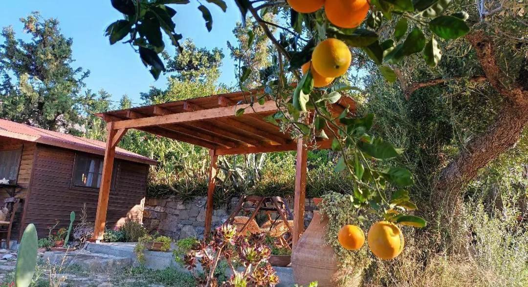 Levantes Garden House - ケラトカンボス エクステリア 写真